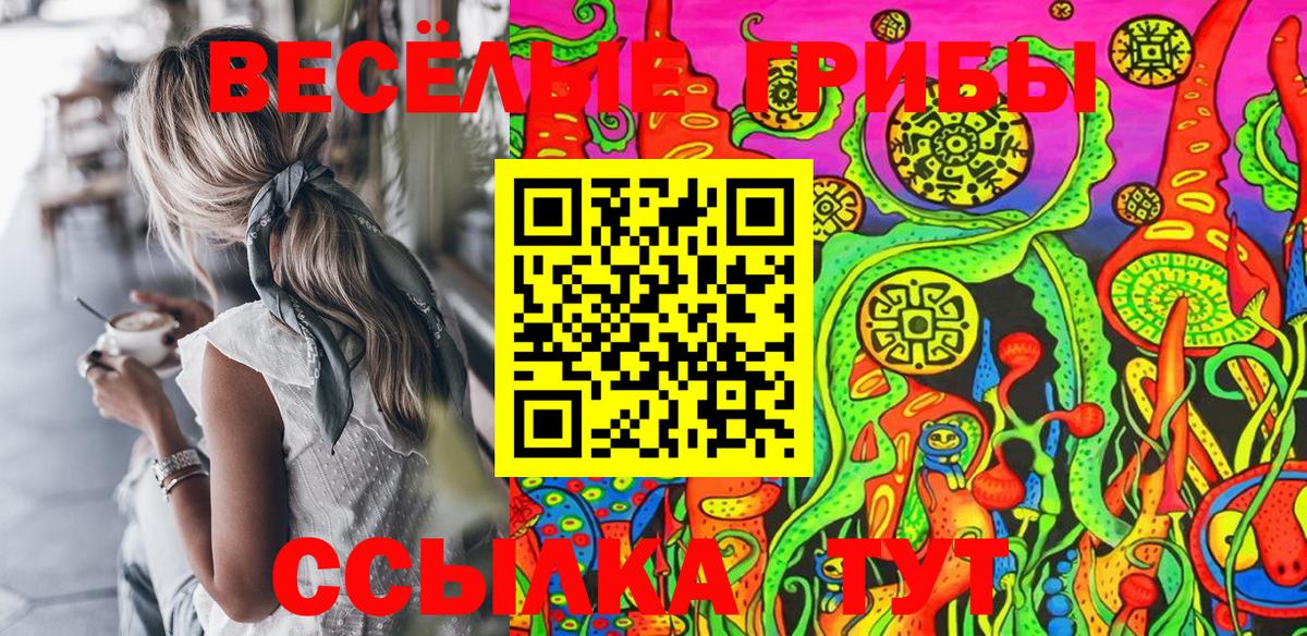 Псилоцибиновые грибы GOLDEN TEACHER  Вход с VPN  Кудымкар  Псилоцибиновые грибы Magic Shrooms 